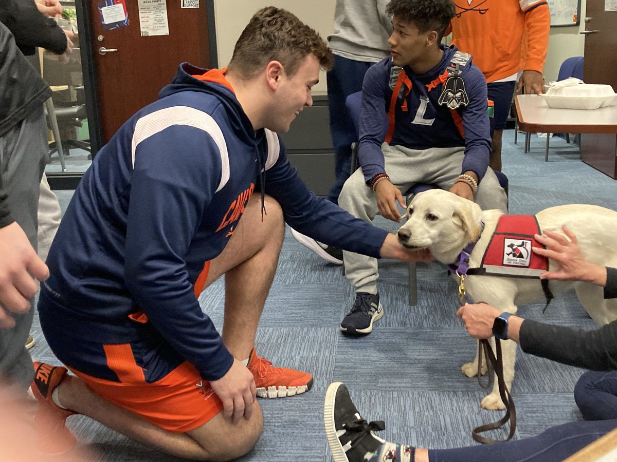 UvaChamp's tweet photo. Yesterday, some friends of mine (May, Star, Bubba and Aidan) went to the academic center to meet some our student-athletes!

#GoHoos | @servicedogsva https://t.co/jxiEKEhFWB