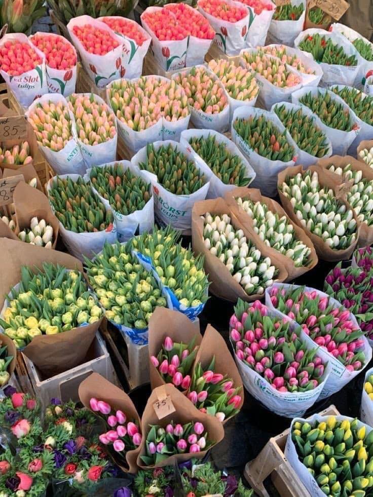 ͏ ͏͏ ͏𐙚 tweet media