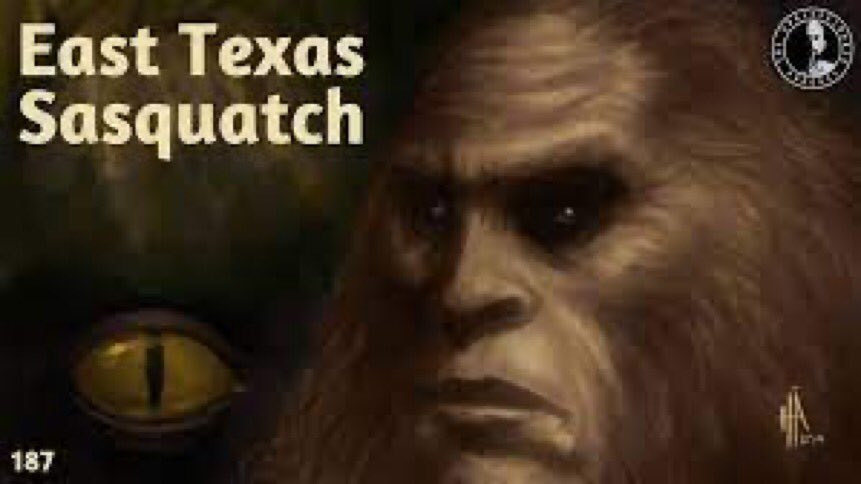 JasonMcEndoo's tweet photo. After roaming through East Texas this week I’m here to tell the you the “Sasquatch” rumors are true! I’ve seen w/ my own eyes several large creatures out in the Piney Woods!! #Squatch #bEASTtexas https://t.co/Jg99IL9hlC