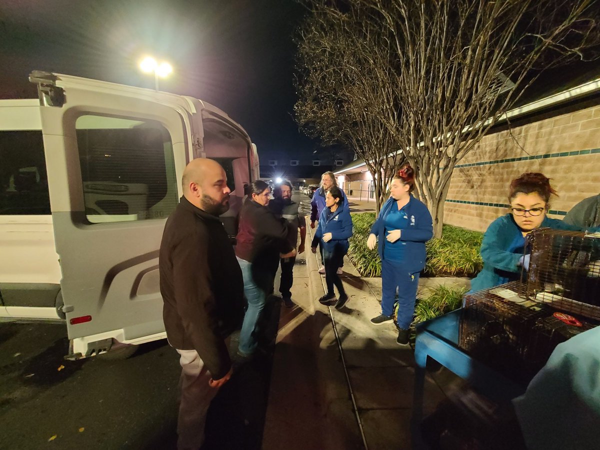 hcphtx's tweet image. We want to give a huge shoutout to our staff @harriscountypets that were on site supporting the Pasadena Animal Shelter last night after the #HoustonTornado. Way to go team!