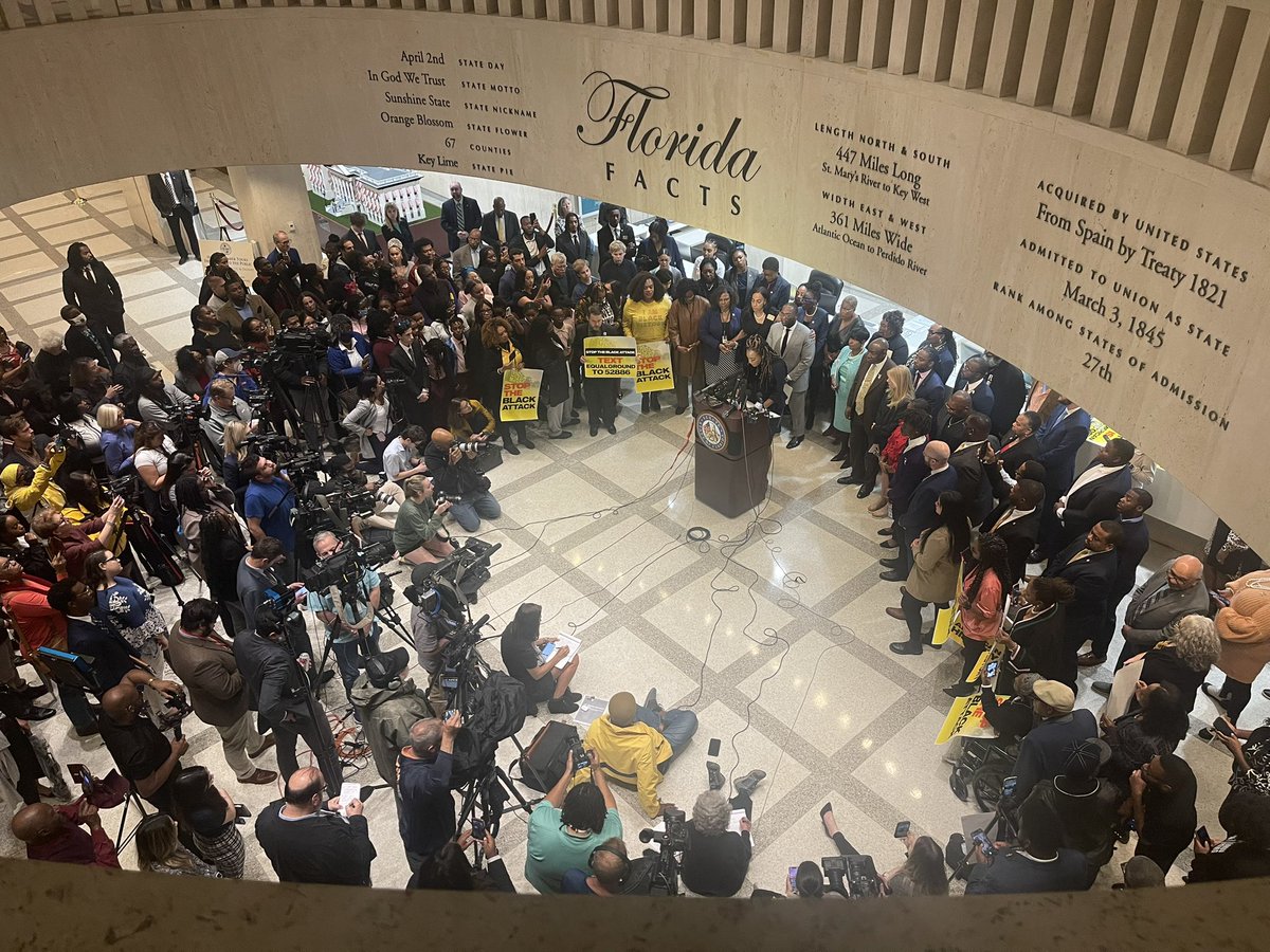 Mdixon55's tweet photo. Rally in Florida Capitol protesting @GovRonDeSantis decision to reject an AP course on African American history https://t.co/YhFaHvXcUs
