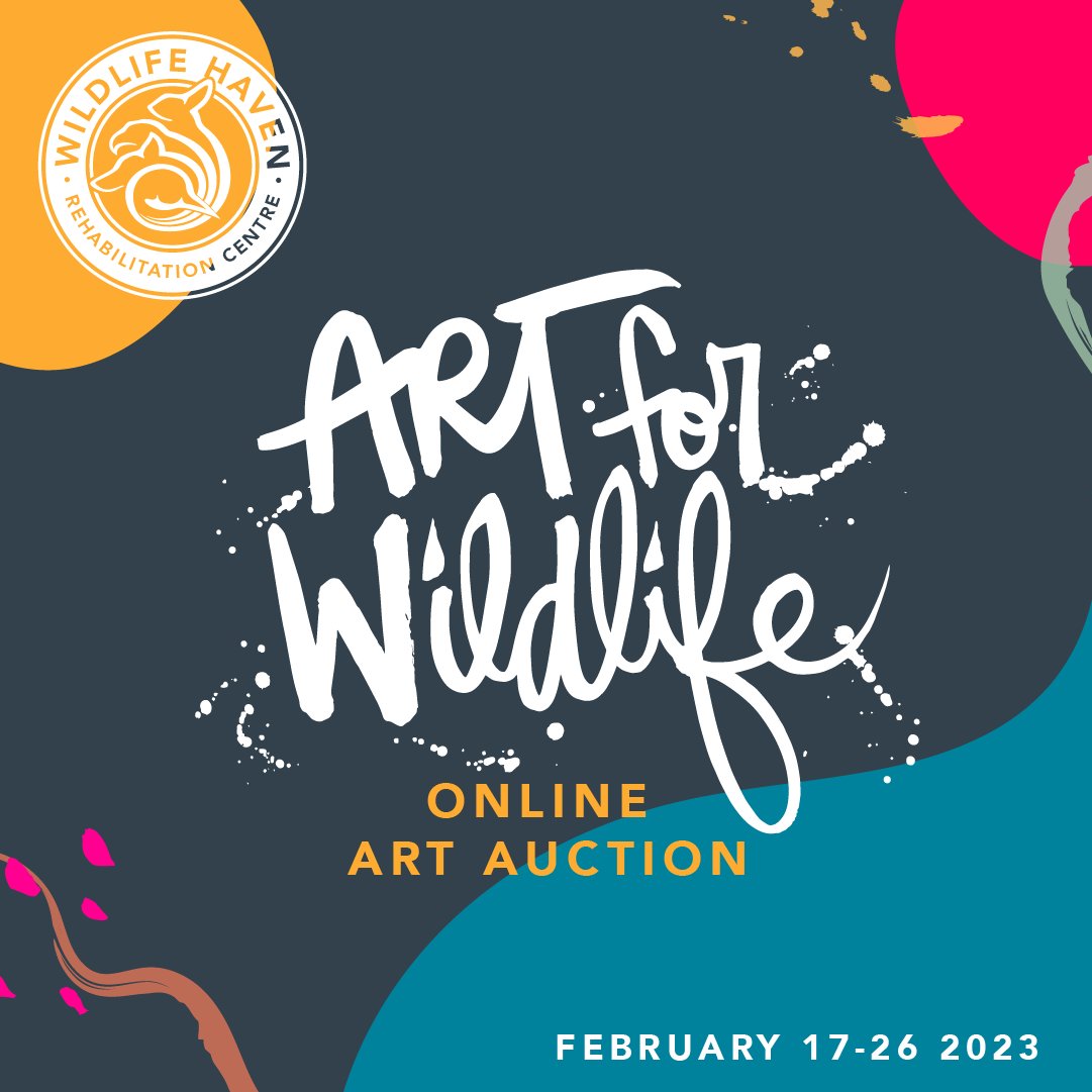 WildlifeHaven's tweet photo. #ARTFORWILDLIFE REGISTRATION IS NOW OPEN! ✨

Don't miss out on your chance to own AMAZING artwork by local artists! Click below to register to receive notifications about Wildlife Haven's Art for Wildlife auction! 😍

https://t.co/Ug0usMPHrE https://t.co/XArqS0u1LC