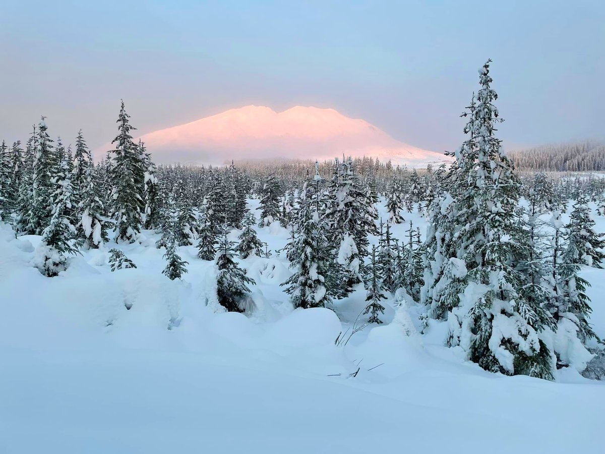 ForestServiceNW's tweet photo. "Those who contemplate the beauty of the earth find reserves of strength that will endure as long as life lasts."

--Rachel Carson https://t.co/yGeYSIXXM2