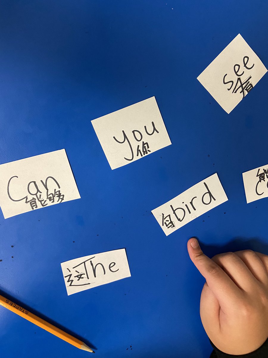 We are writing about our reading using dual language cut-up sentences ❣️🌍 <a href="/JamesWHillPS/">JamesWHill</a> <a href="/HaltonDSB/">HDSB</a> <a href="/HDSBESLelem/">Elementary English Language Learner</a> <a href="/HDSBEquity/">HDSB Human Rights, Equity & Inclusive Education</a>
