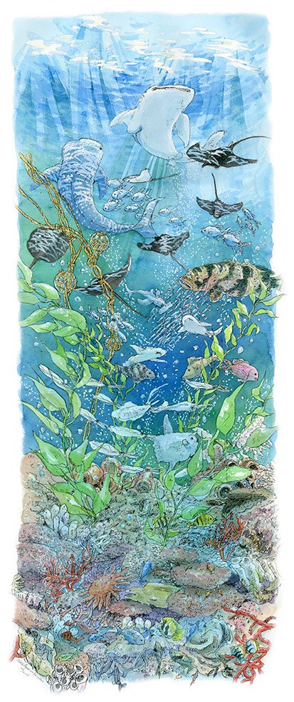 tsukiyo_mana's tweet photo. ここで見せることなかったけど、普段のアナログ透明水彩の絵です🖌

必ず現場でスケッチす、耐水性のペンで下絵なしの一発描き。線を活かすのが作風です。この絵は海遊館の大水槽、大きさ1ｍほどあるかな🤤

買ってもらったので、今はある病院に飾られてます。上下まだ絵があるのでタップしてね。 https://t.co/2IbvDnEFKT