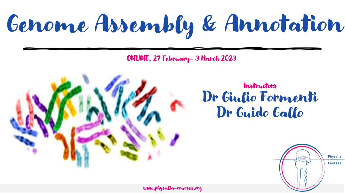 Physacourses's tweet image. 🥳The first confirmed invited speakers for the course Genome Assembly and Annotation are @aubombarely (@IBMCP) &amp;amp; @NadolinaBrajuka (@RockefellerUniv).

If interested, there are still a few seats available: physalia-courses.org/courses-worksh… 

#Genomics #GenomeAnnotation #Bioinformatics