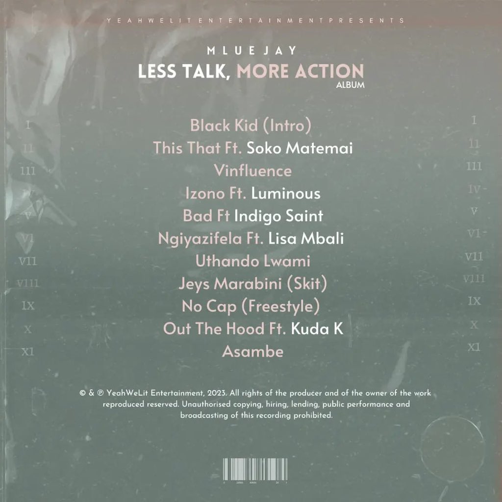 MPlugtv's tweet photo. We are really excited about this drop 
#LESSTALKMOREACTION dropping 24 Feb featuring @LisaMbali_RSA
@MeetLuminous
@Friendsofindigo
@Sokomatemai
@JeysMarabini1 @Muyeradragon https://t.co/GrMrcsc39n