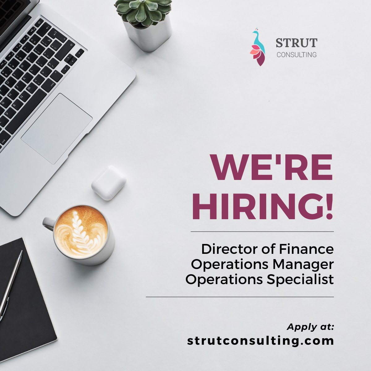 StrutLLC's tweet photo. Strut is growing! 🦚 We're looking to add more #venturecapital fund operations and finance experts to our team. Interested to learn more or know someone who'd be a good fit? Apply here: https://t.co/u3nwMSAuiq #nowhiring #hiring #jobs https://t.co/wyN7mJFHzV