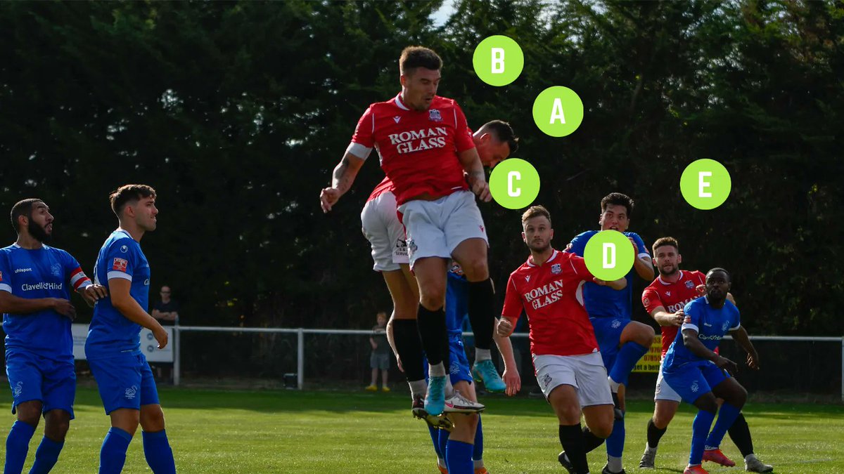 Bristol Manor Farm tweet media