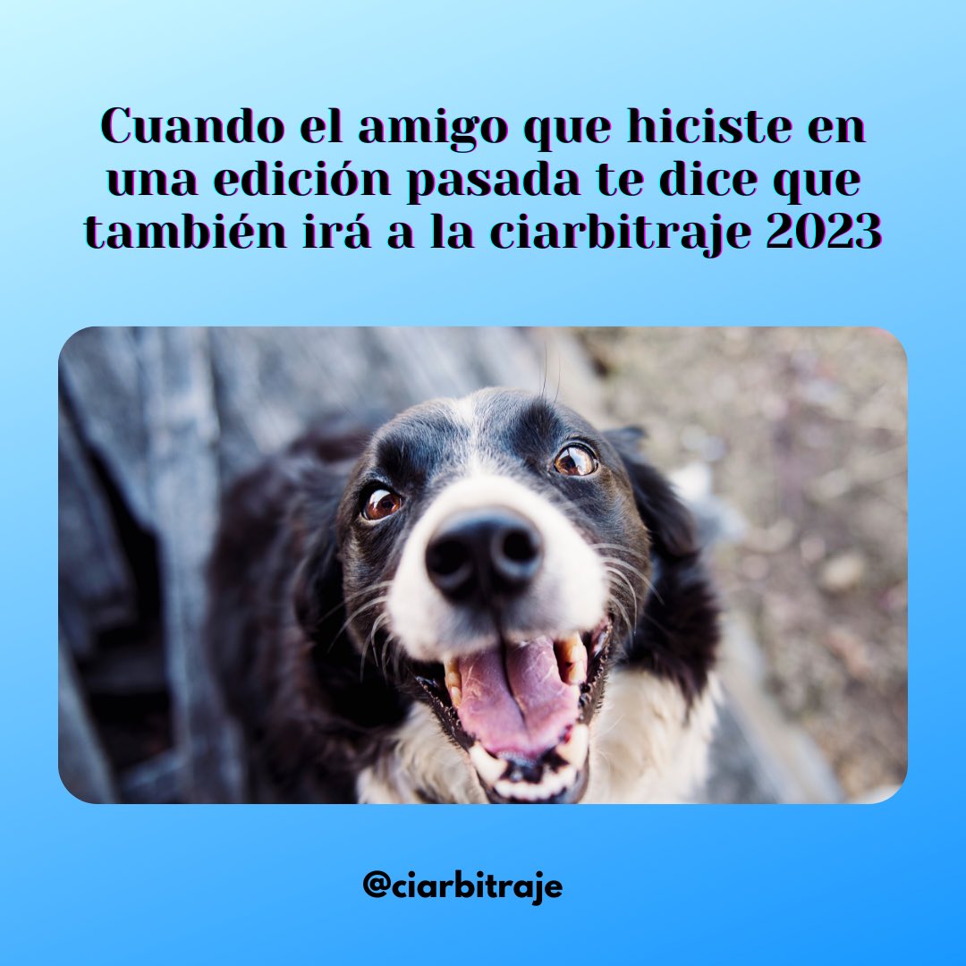 Competencia Internacional de Arbitraje tweet media
