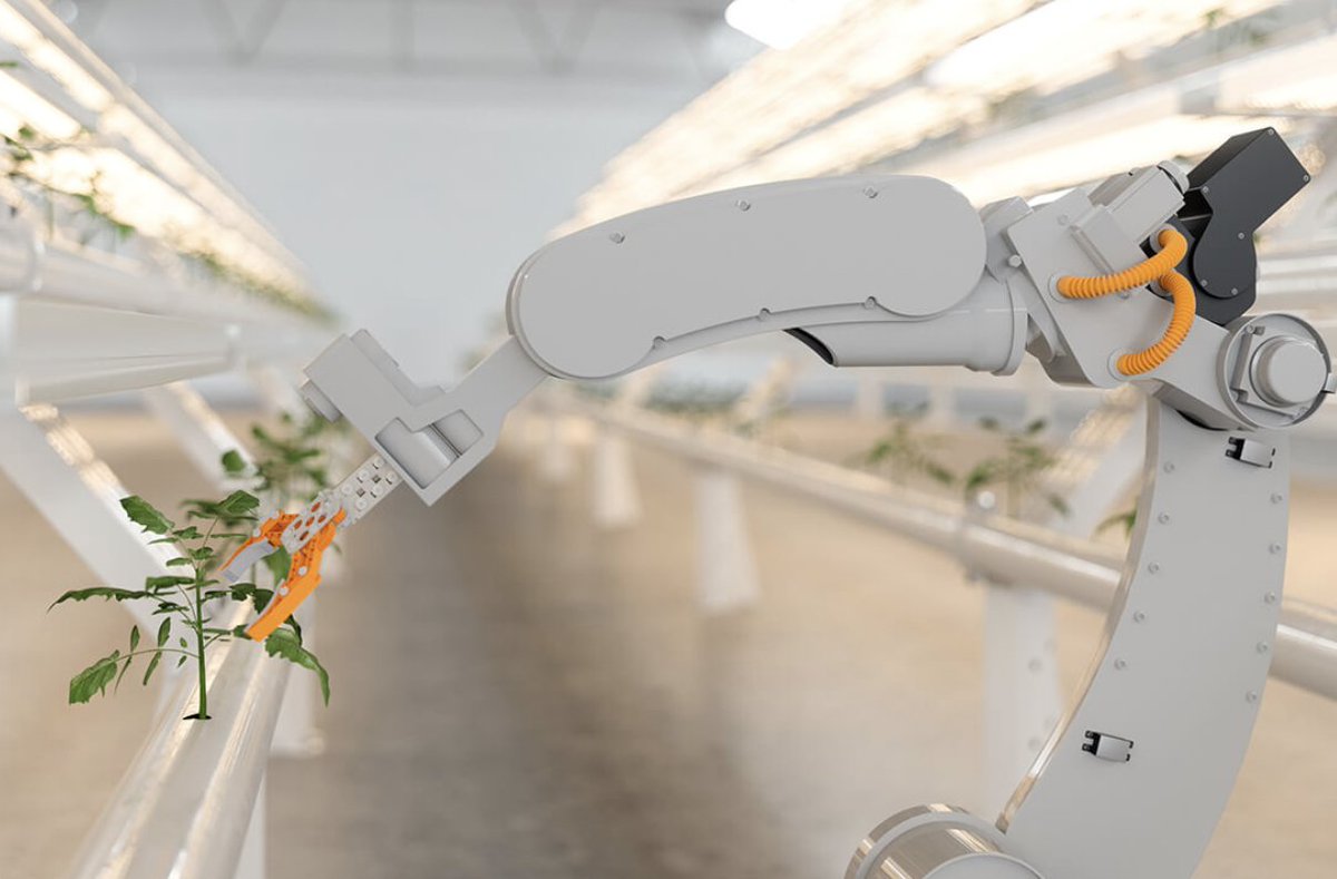 WeWere_Penguin's tweet image. Is your business struggling with implementing #AI and #analytics infrastructure? Eliminate the complexities of AI in your workplace with help from Penguin Computing OriginAI. Learn how you can deploy AI without issue today: bit.ly/3yuFdwt