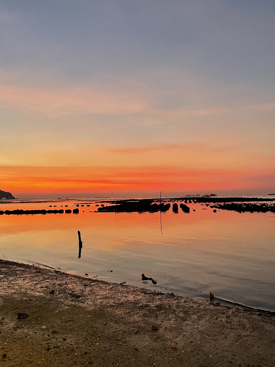 madaisyy__'s tweet photo. sunset on the beach. https://t.co/LITPC9LL8l