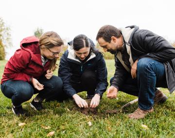 Cornell SAEL tweet media