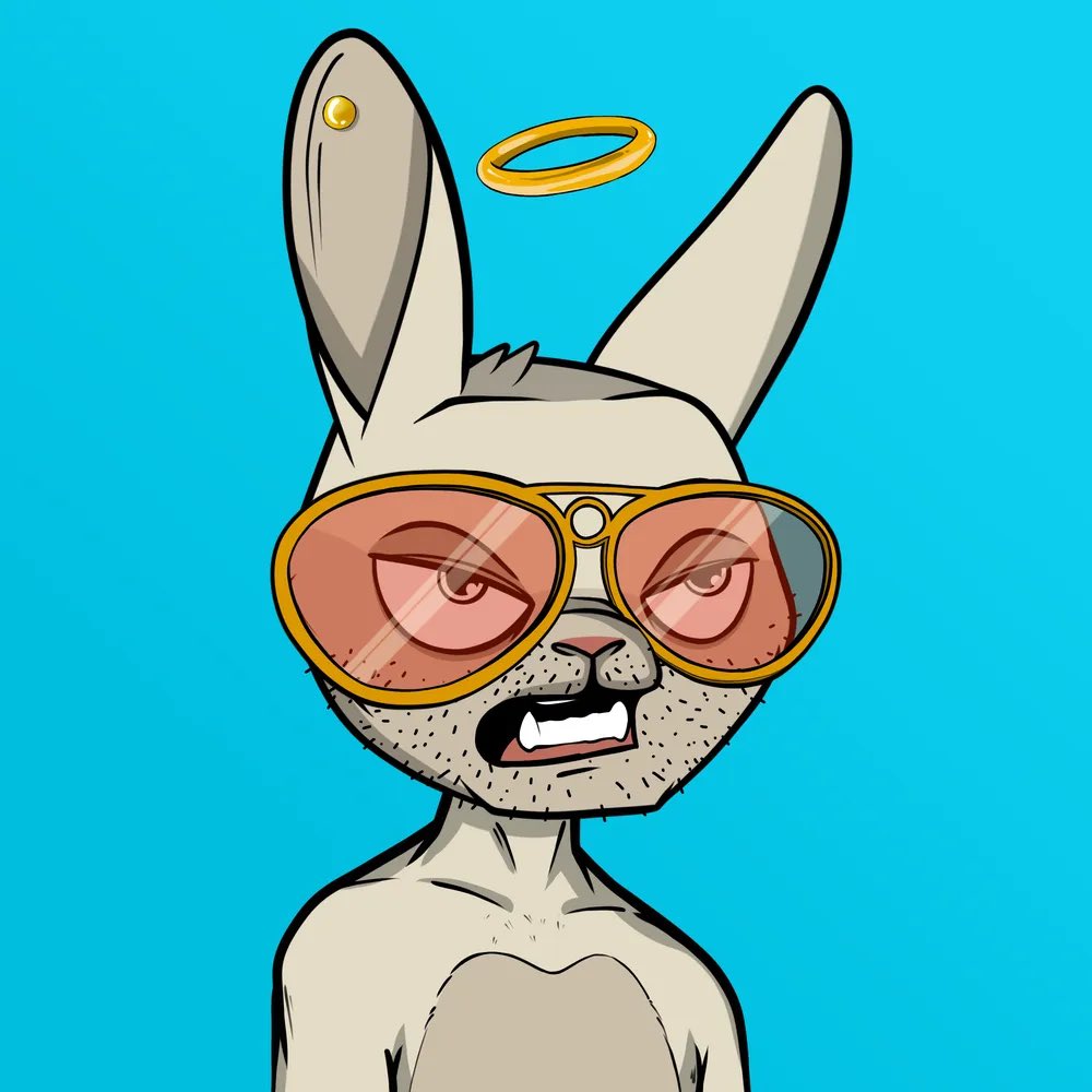 Don Conejo🌴 tweet media