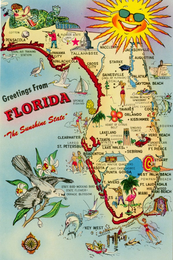 Happy National Florida Day!!!
Originally the sunshine state became the 27th state to join the union March 3,1845 , however it is usually celebrated January 25. 
#Florida
#FloridaNative
#FloridaDay 
#SunshineState 
#USA