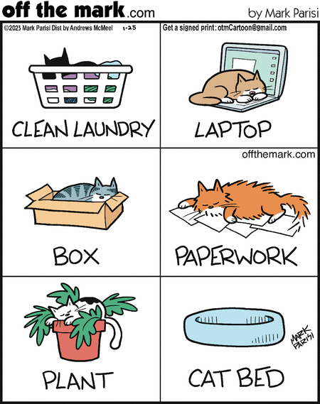 OffTheMarkComic's tweet image. Just a list of things

#Wednesdayvibe #cats