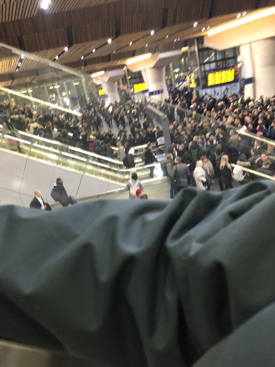 Suzanne Whitlock tweet media