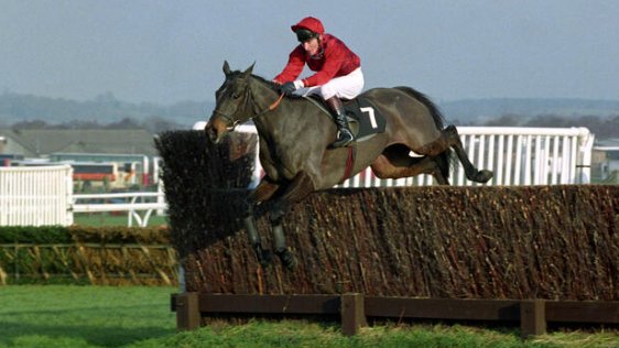 Cogent (Dan Fortt)

1993 Hennessy at Newbury