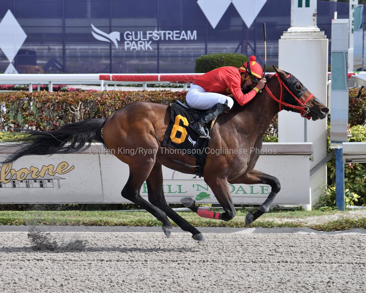 #Hipismo🇺🇸 Chiquirin del entrenador <a href="/YanezStable/">Rey Yanez</a> galopa por más de 8 cuerpos la 2da competencia de hoy en GP y le otorga el primer triunfo en los Estados Unidos al látigo criollo <a href="/ivanPimentelJr/">Ivan Pimentel Jr</a>, novena victoria en USA para "Rey" Yánez.

Felicidades!!!

📸 <a href="/RyanFromChicago/">Ryan Thompson</a>