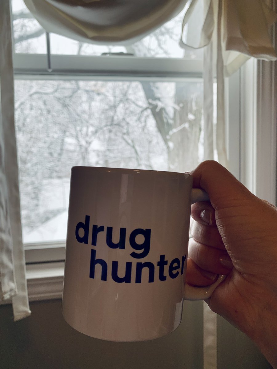 very glad I don’t have to drive to work this morning, but it sure is lovely looking out my window! ❄️ Thanks @drughuntersite!#wfh #wfhlife