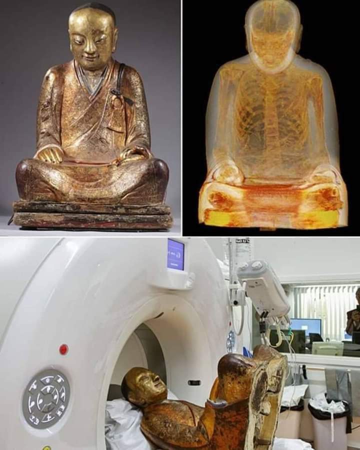 ArchaeoHistories on Twitter: "A few years ago, CT scan of a 1000-year-old Buddha statue revealed a monk hidden inside. Researchers believe statue contains of a Buddhist master Liuquan, member