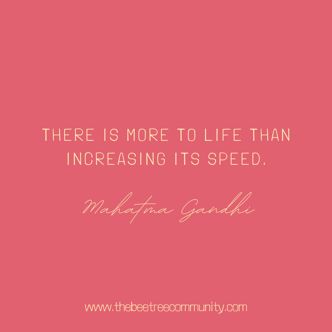 TheBeeTreeComm's tweet image. 