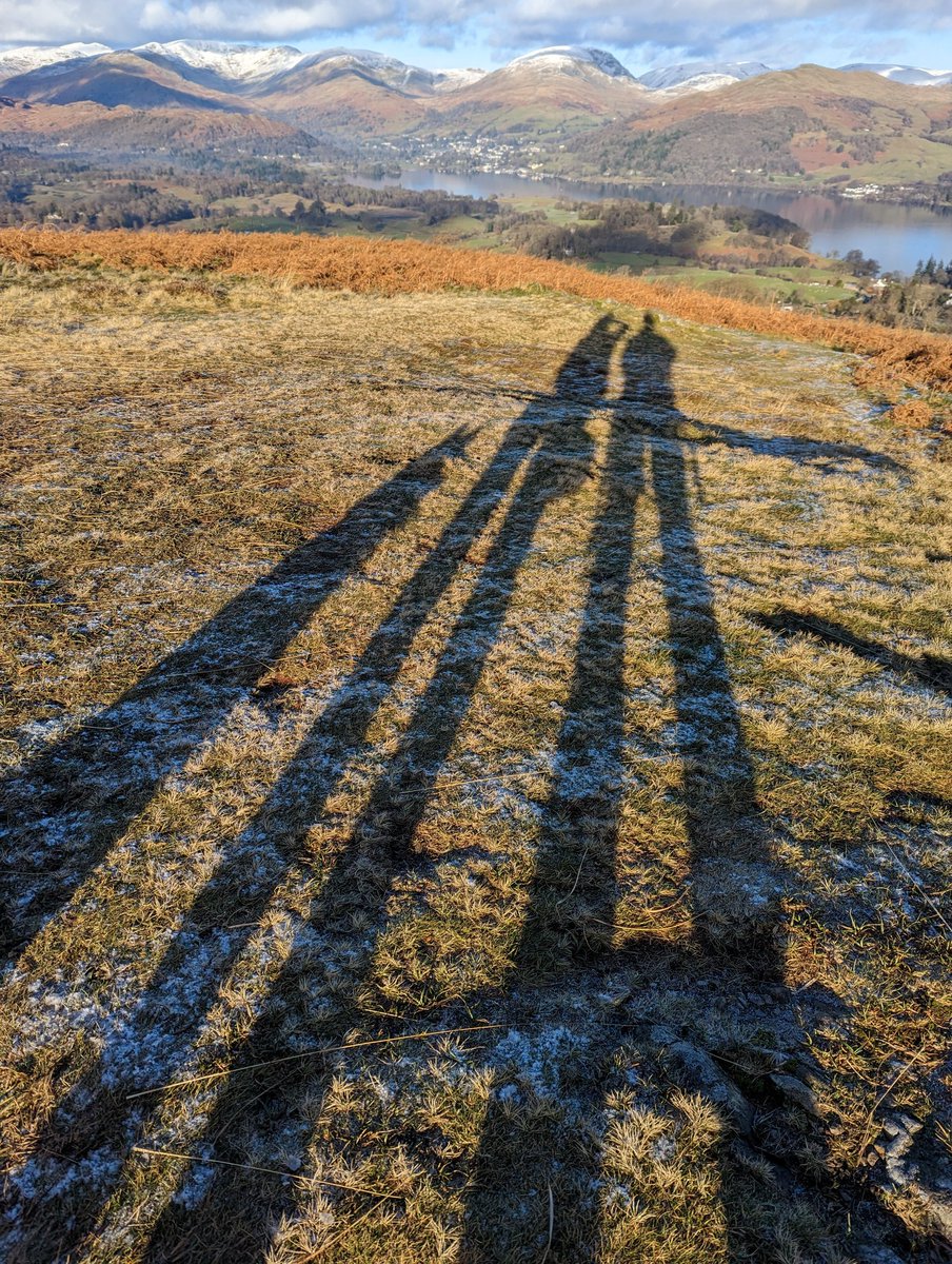 Colin Taylor tweet media