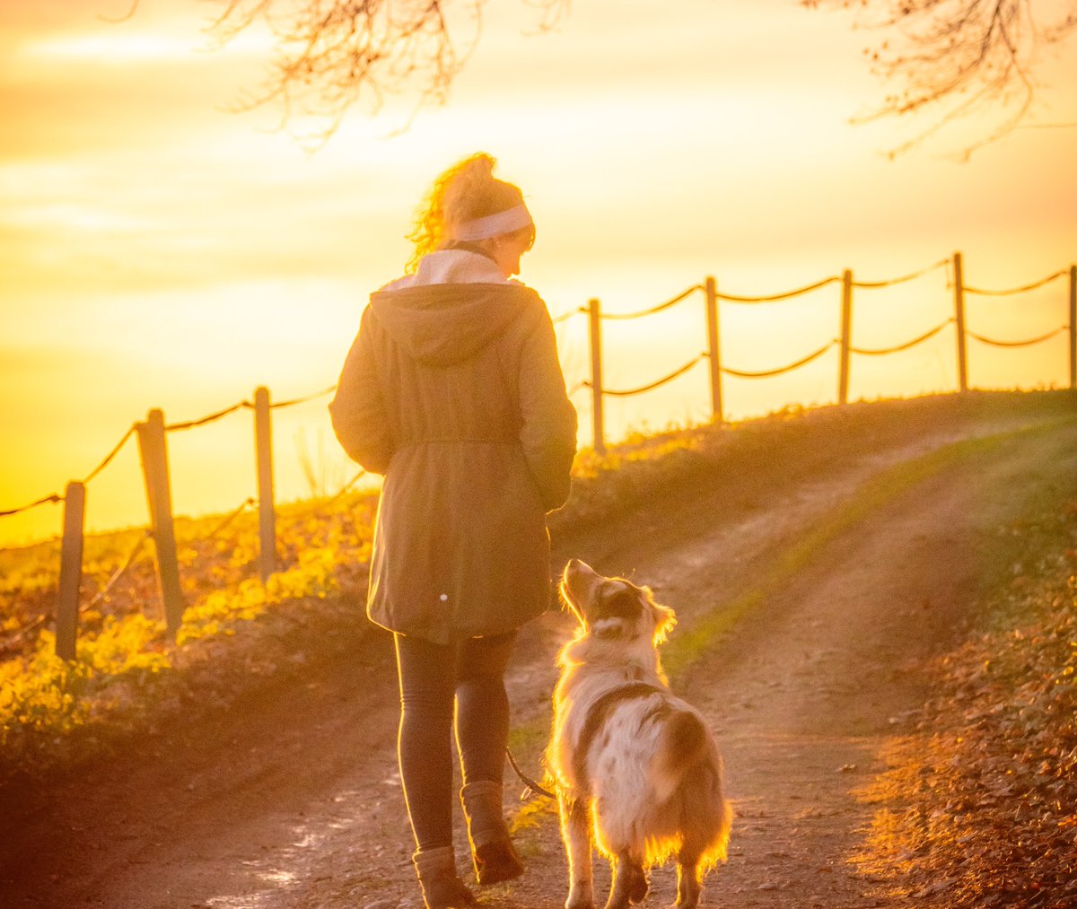 Pet_Connection's tweet image. #January is #WalkYourDogMonth and what better way to kick start your #NewYearsResolutions than by getting out in the great outdoors and walking off some of that festive food &amp;amp; drink?

Have you explored any walks that you think others should check out with their doggy companions?
