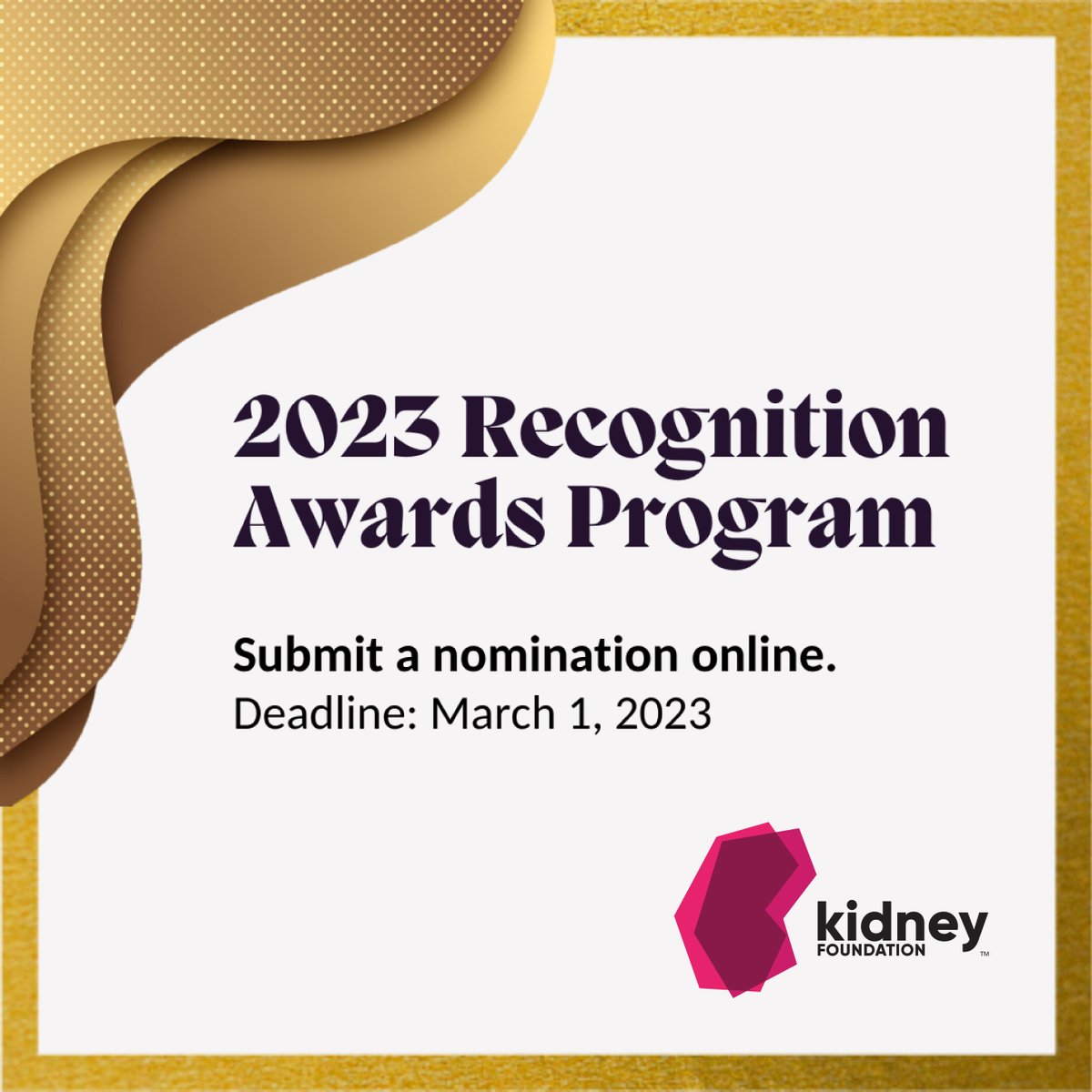 Do you know any remarkable individuals, groups, or organizations that contributed to the Foundation’s mission of building a future free of #kidneydisease? If so, you can nominate them for our 2023 National Recognition #Awards Program here: kidney.ca/About-Us/Recog…