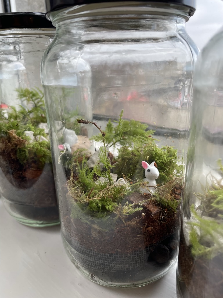 TUDublinCivEng's tweet photo. #TryFive News: Last week we had the pleasure to work with the 4th class students at St. Gabriel National School as they learn about the importance of ecosystems for 🌍 and space🚀! What an incredible class! Future scientists in the making! #STEM #Science #Space #TUDublin https://t.co/GoHzrGx9Px