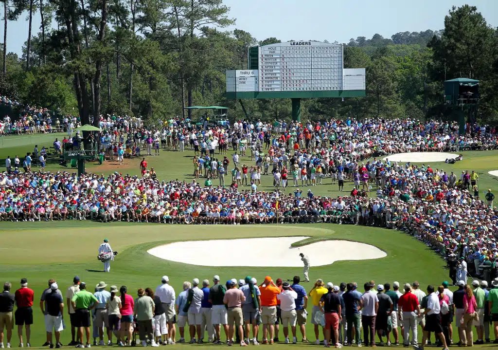 Pallomeri.net tweet media