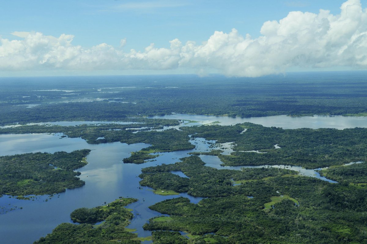 The flow of freshwater in the #Amazon provides ecosystem services and a home for #biodiversity 🐬🐟

📘 Our research indicates that dam construction could interrupt essential connectivity corridors and urge for alternative plans. Find the evidence here:
👉 bit.ly/3R2U4Wh
