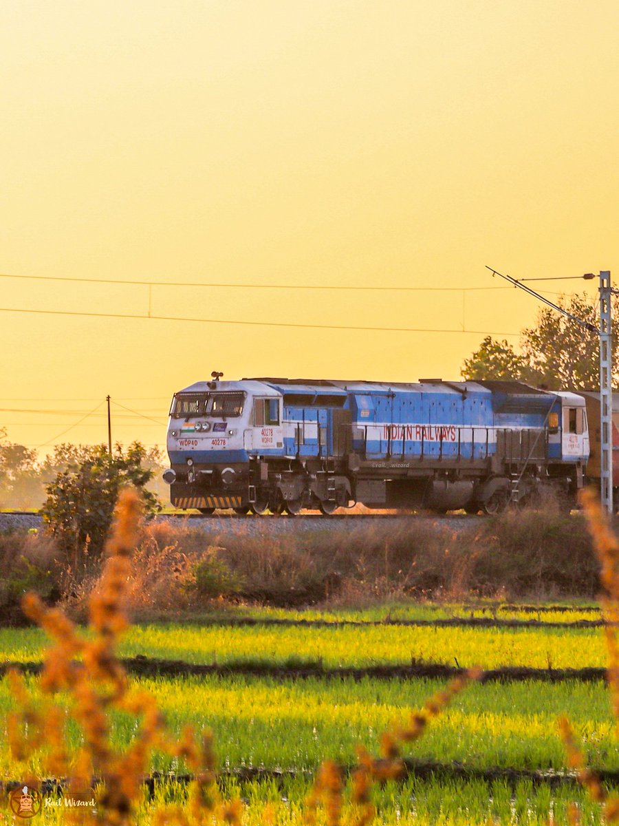 _Railwizard_'s tweet photo. Nature forming National Banner 🇮🇳
#HappyRepublicDay2023 
@RailMinIndia @SCRailwayIndia @RailfansScr @SWRRLY @Ananth_IRAS @irfcaconv https://t.co/idTvW8QFGK