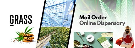 Grass Life is a Canadian online cannabis dispensary that provides a premium selection of professionally cured buds, edibles, vapes, CBD, accessories and only the purest cannabis concentrates to help people revel and unwind nationwide. grasslife.io/#a_aid=ganjaca…
#cannabis #mmj