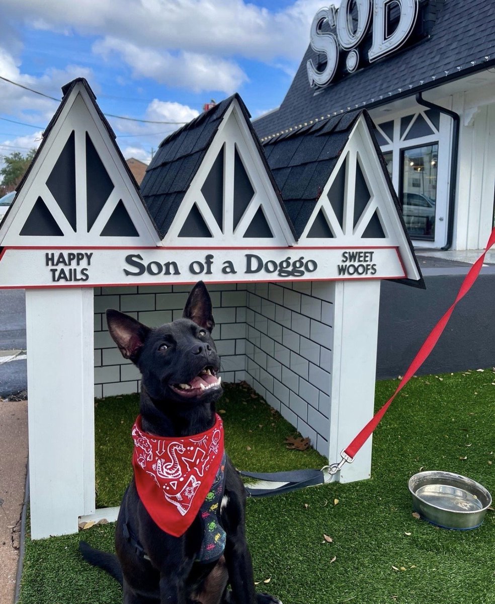 Son of a Butcher tweet media