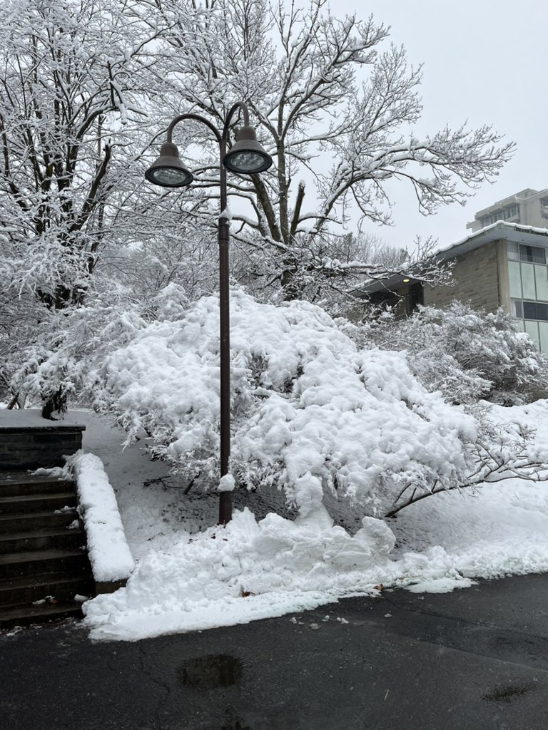 AccioRed's tweet image. College has very nice snow!