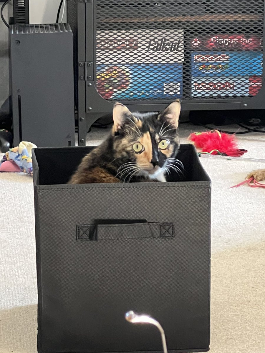 I like boxes.