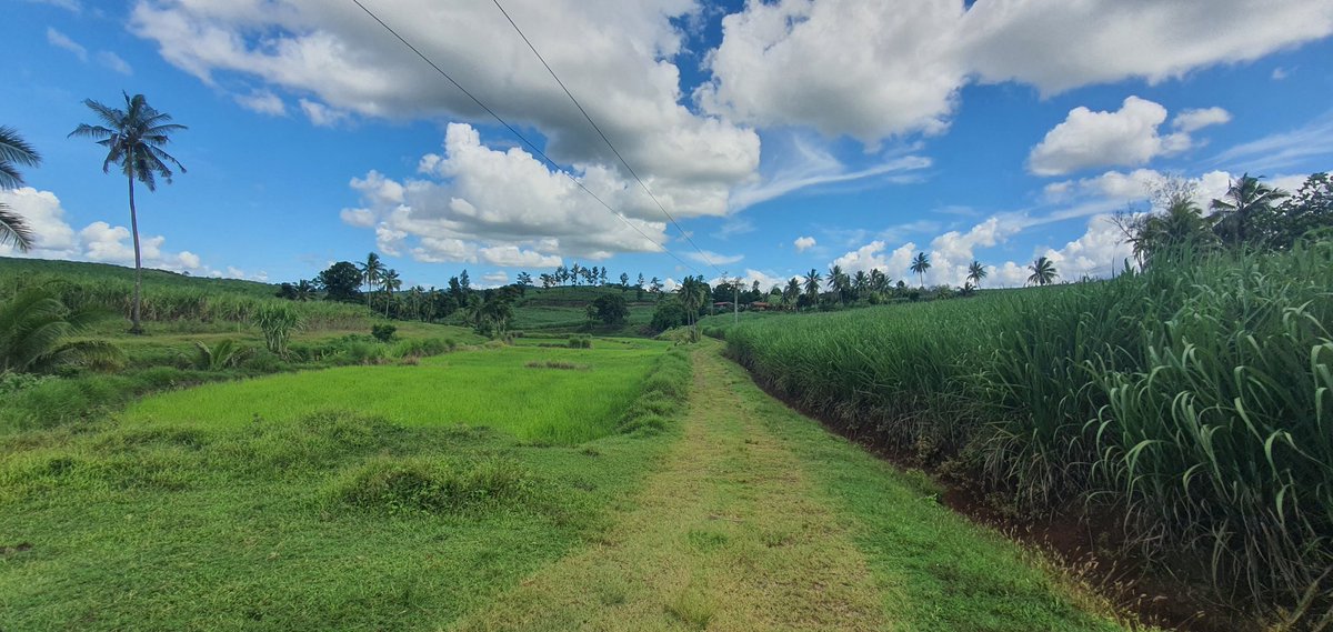 peterinfiji's tweet photo. Hard decisions often involve what feels like and appears as sacrifice - until the reward of the hard decisions bear fruit! https://t.co/OFH9CR3Wxe