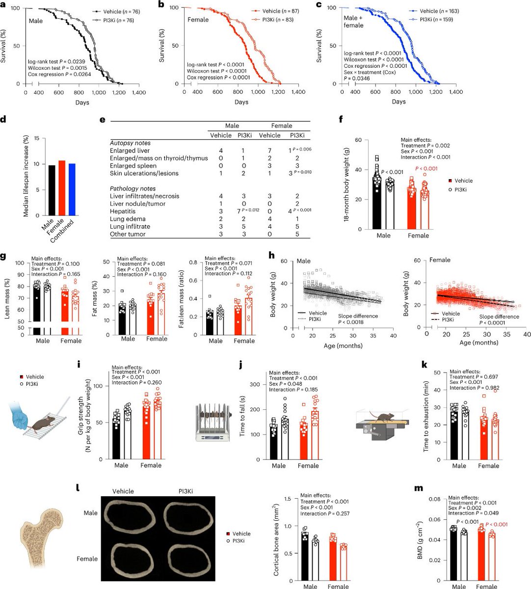Agingdoc🩺Dr David Barzilai🔔MD PhD MS MBA DipABLM tweet media