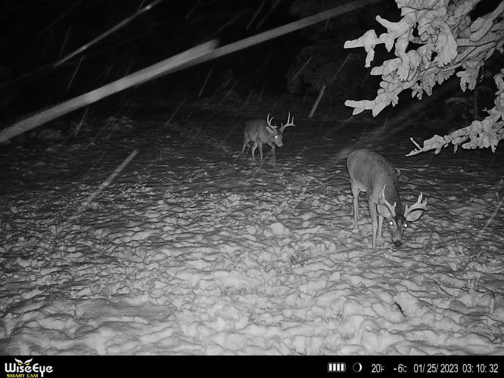 Alex_Rutledge's tweet photo. “BRAVING THE ELEMENTS”
#wiseeyetech #huntcontrol #fueledbyhornady #eagleseed #Buckgrits #Tidewe #Apexammunition #Ampedoutdoors #Piscifun https://t.co/7ewXF8bUyR