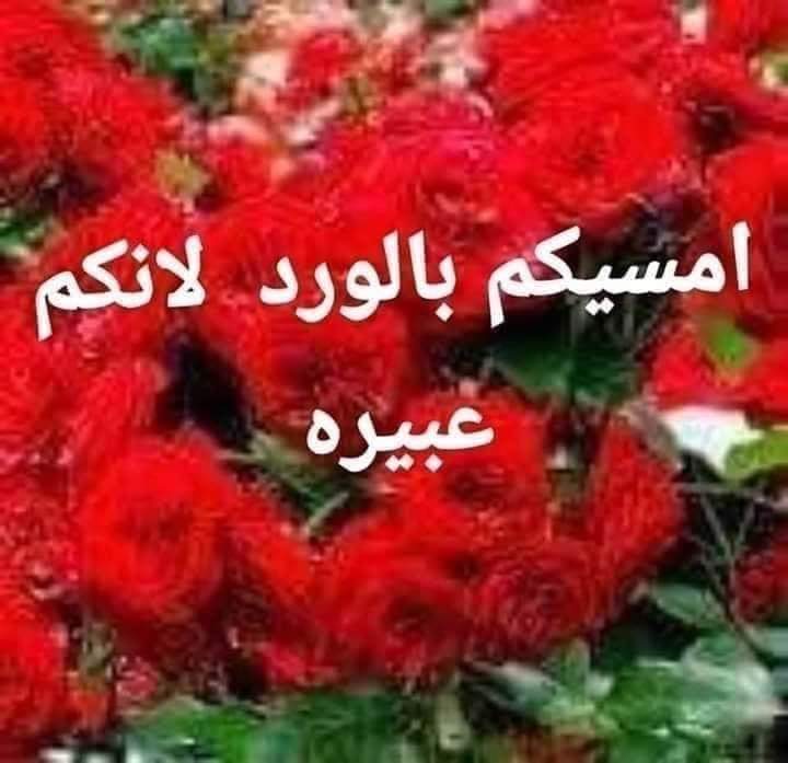 Muhammad Salahuddin tweet media