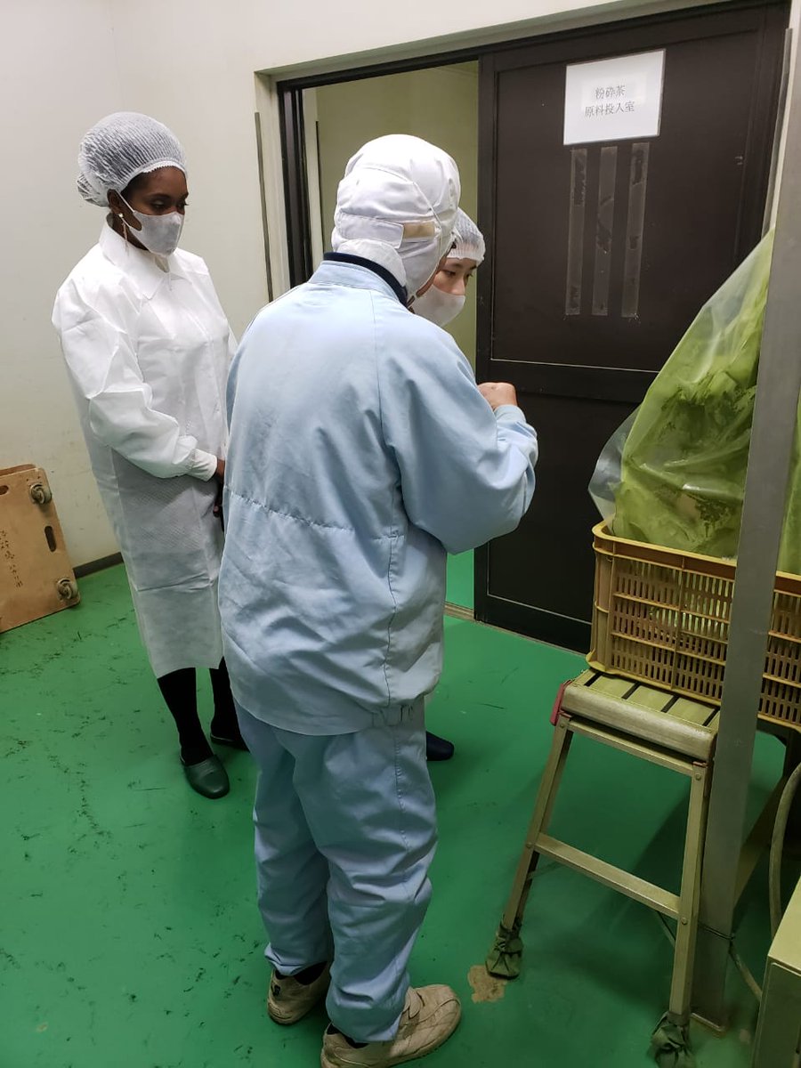 matchawithmo's tweet photo. Your Matcha expert doing a full tour and QA of where we source our Matcha in Uji Japan. Knowing exactly where our matcha is from is a non negotiable! https://t.co/QTiCUnEFEI