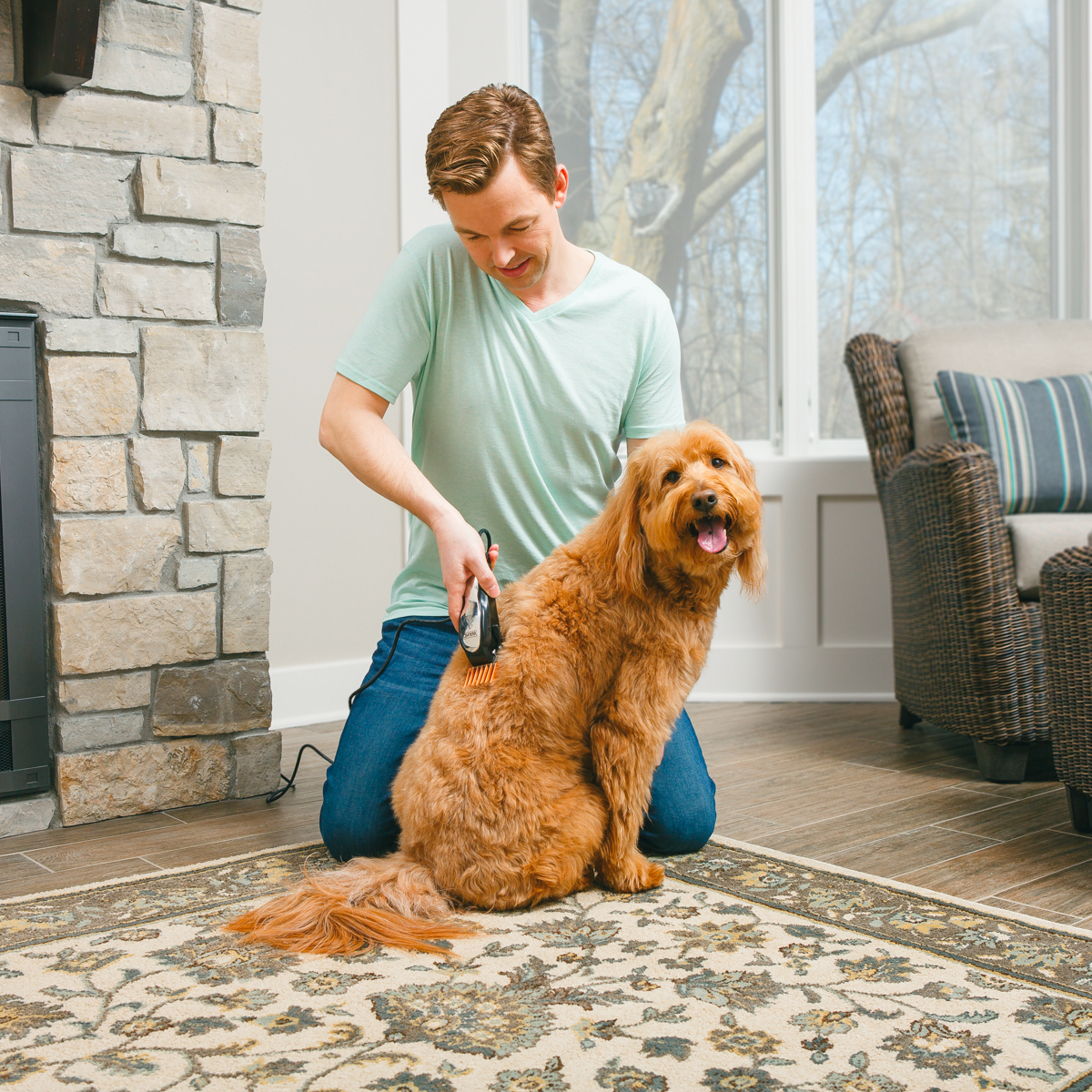 Long, curly, wavy, or wiry coats all call for regular hair clipping. Learn how to do it at home from our team of experts:  
bit.ly/3ihhzO9