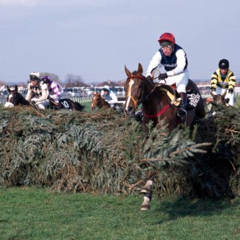Joe Porter (@joeporter1990) on Twitter photo Royal Athlete <a href="/jasontitley5/">Jason Titley</a>
Romany King <a href="/Armytage/">Marcus</a>
Party Politics (Mark Dwyer
Over The Deel (Chris Bonner)
Master Oats <a href="/NormanW74303774/">Norman Williamson</a>
1995 Grad National Royal Athlete <a href="/jasontitley5/">Jason Titley</a>
Romany King <a href="/Armytage/">Marcus</a>
Party Politics (Mark Dwyer
Over The Deel (Chris Bonner)
Master Oats <a href="/NormanW74303774/">Norman Williamson</a>
1995 Grad National