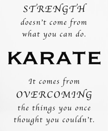 Kimber Martial Arts tweet media