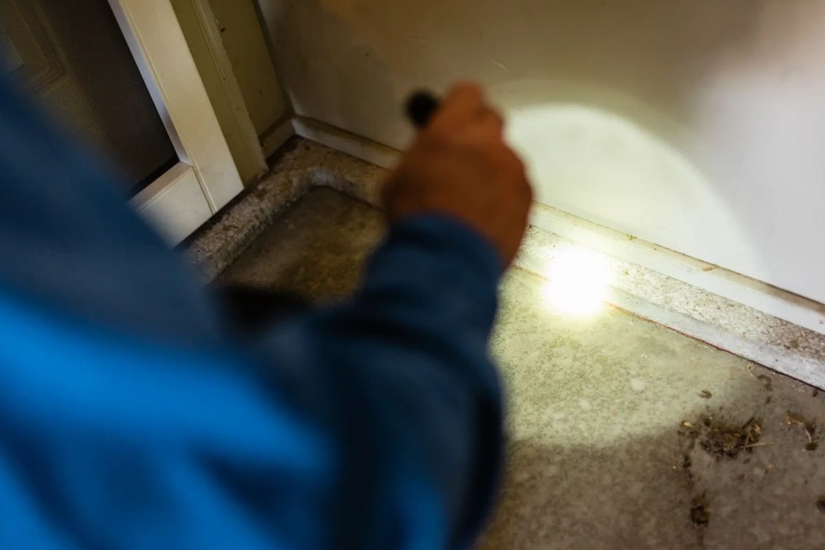 Gmanpestcontrol's tweet image. When you need professionals to shed light on a potential pest problem, just turn to us! We&apos;re available for basic weekday services, emergencies, and even weekend treatments by appointment. #GManExterminating #GManPestControl