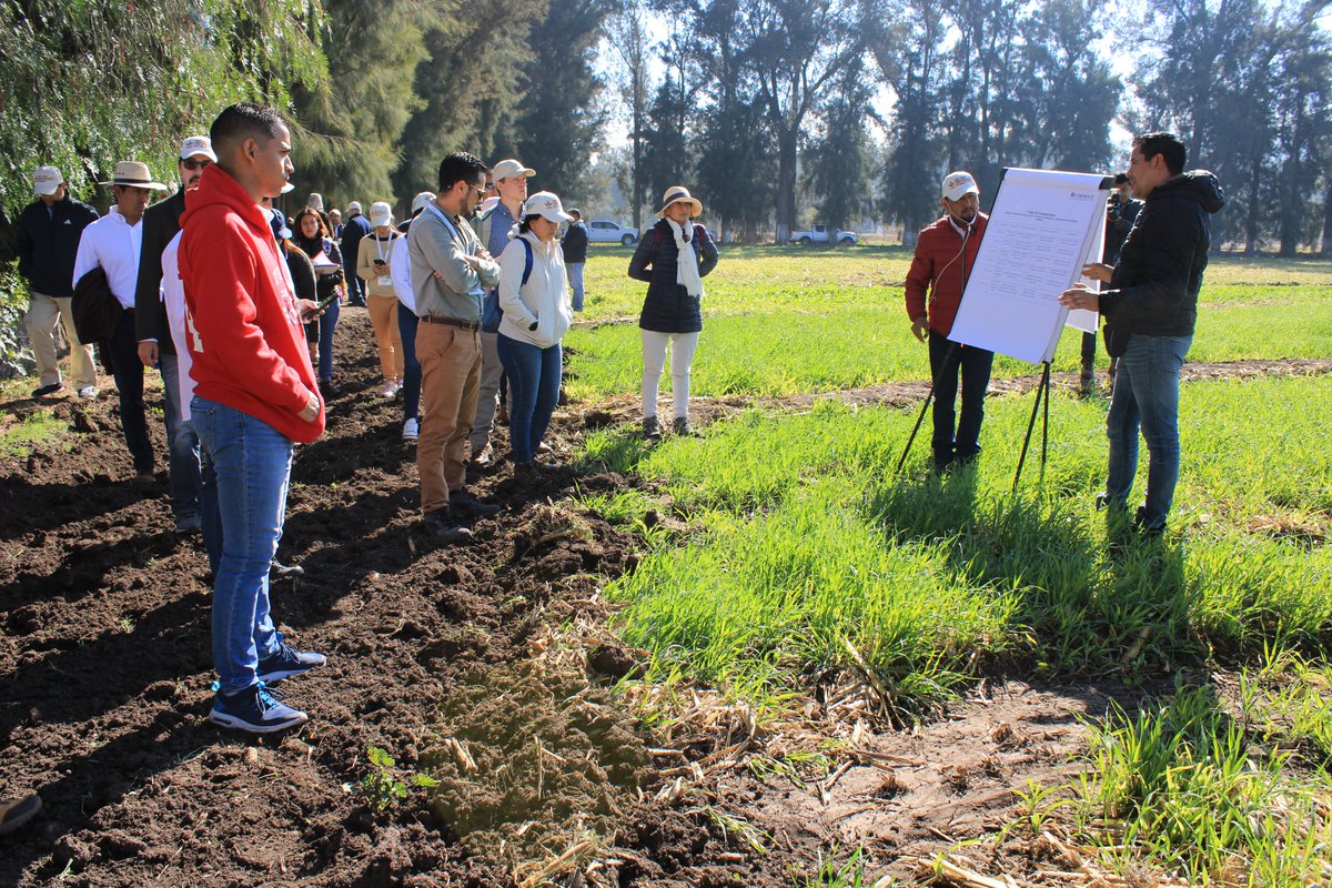 UPFIM_Oficial's tweet photo. El día de hoy nuestro rector el M.C. Sergio Cortez Gamboa llevo a cabo el recorrido en la Parcela Experimental de la #UPFIM, en el marco de la iniciativa AgriLAC Resiliente, cuyo objetivo es dar a conocer las estructuras y dinámica de trabajo de los Hubs en México. https://t.co/amrjwSoqOU