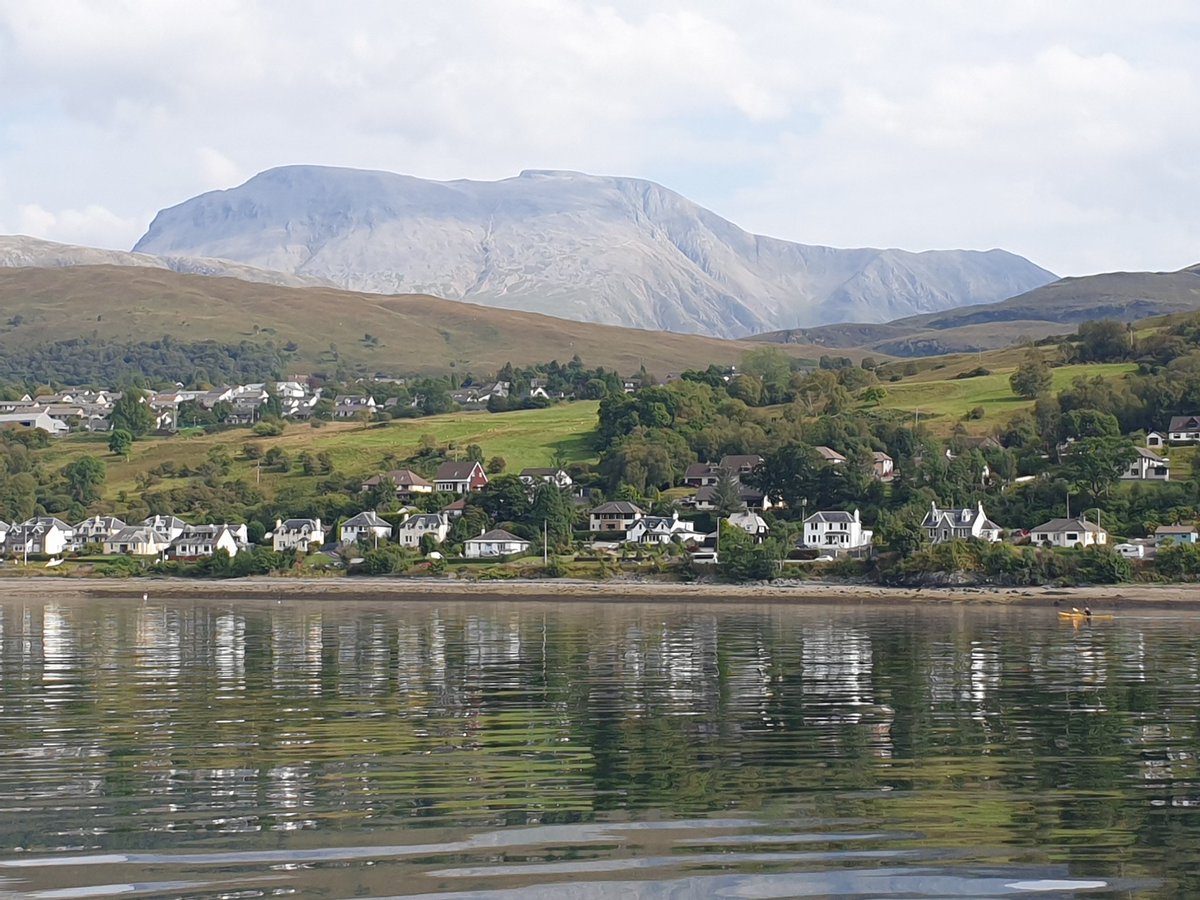 🌎Andrea🌍 tweet media