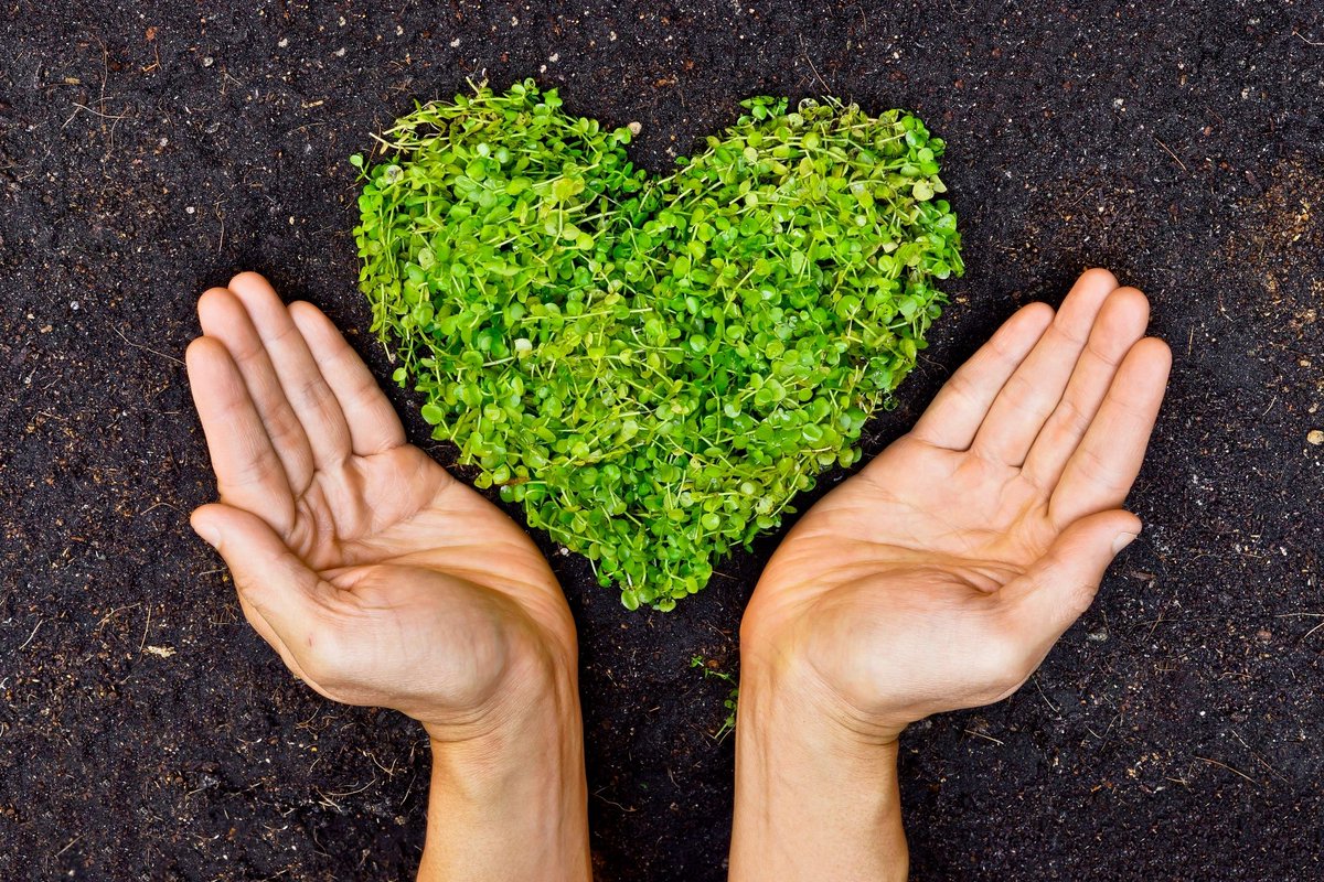 planetwineus's tweet photo. The implementation of a refillable glass bottle program not only reduces our carbon footprint but also allows us to make a positive impact on the environment by reducing waste.
Check our full blog:
https://t.co/ef25HOBSaI https://t.co/7RDNckNzJf