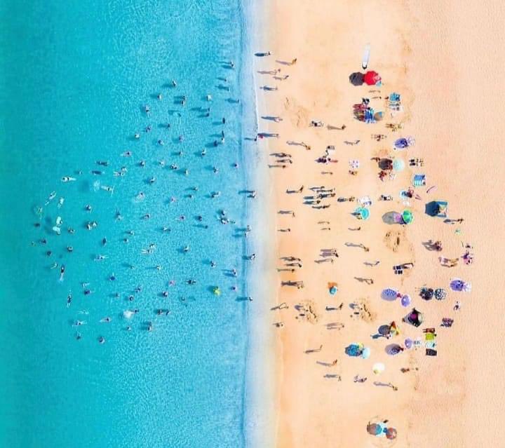 #AustraliaDay tomorrow here #Toronto 
GetAround us at <a href="/HemingwaysTO/">Hemingway's Toronto</a> #snags on Barbie free T-shirt when ya buy an <a href="/amsterdambeer/">Amsterdam Brewery</a> pint #strayaday <a href="/AusHCCanada/">Australia in Canada</a> 🇦🇺